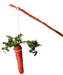 Image of a carrot on a stick